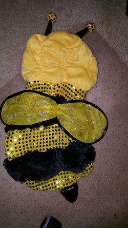 Bumblebee costume for dog small medium
