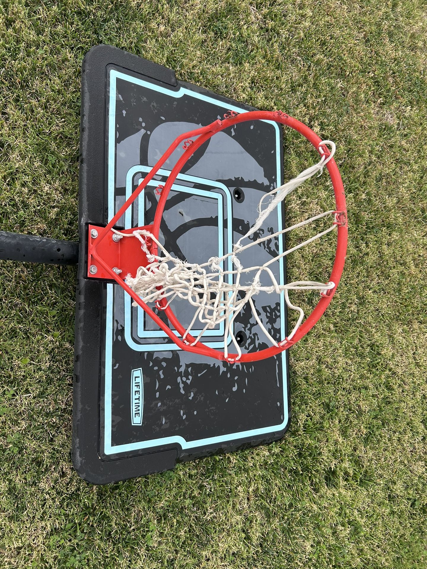 Basketball Hoop. Great Condition. Pick Up Only. $85 OBO