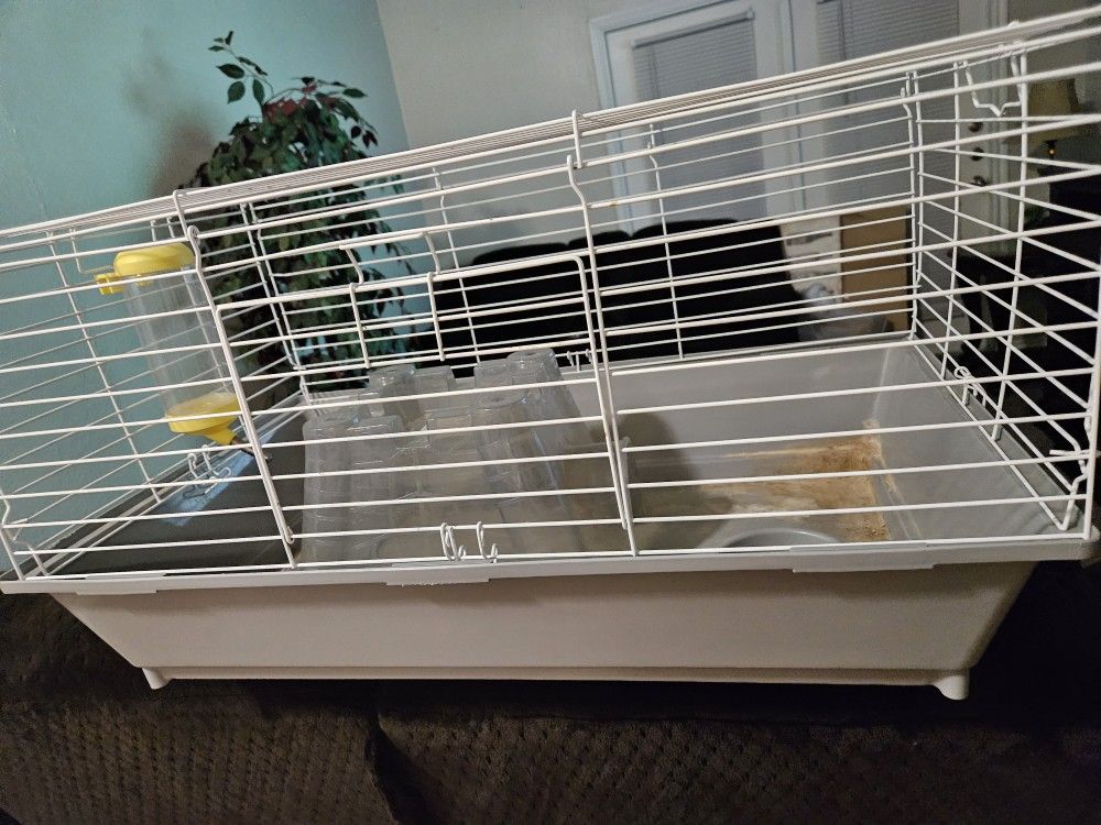 Guinea Pig , Hamster , /Cage/ for Sale in San Antonio, TX OfferUp