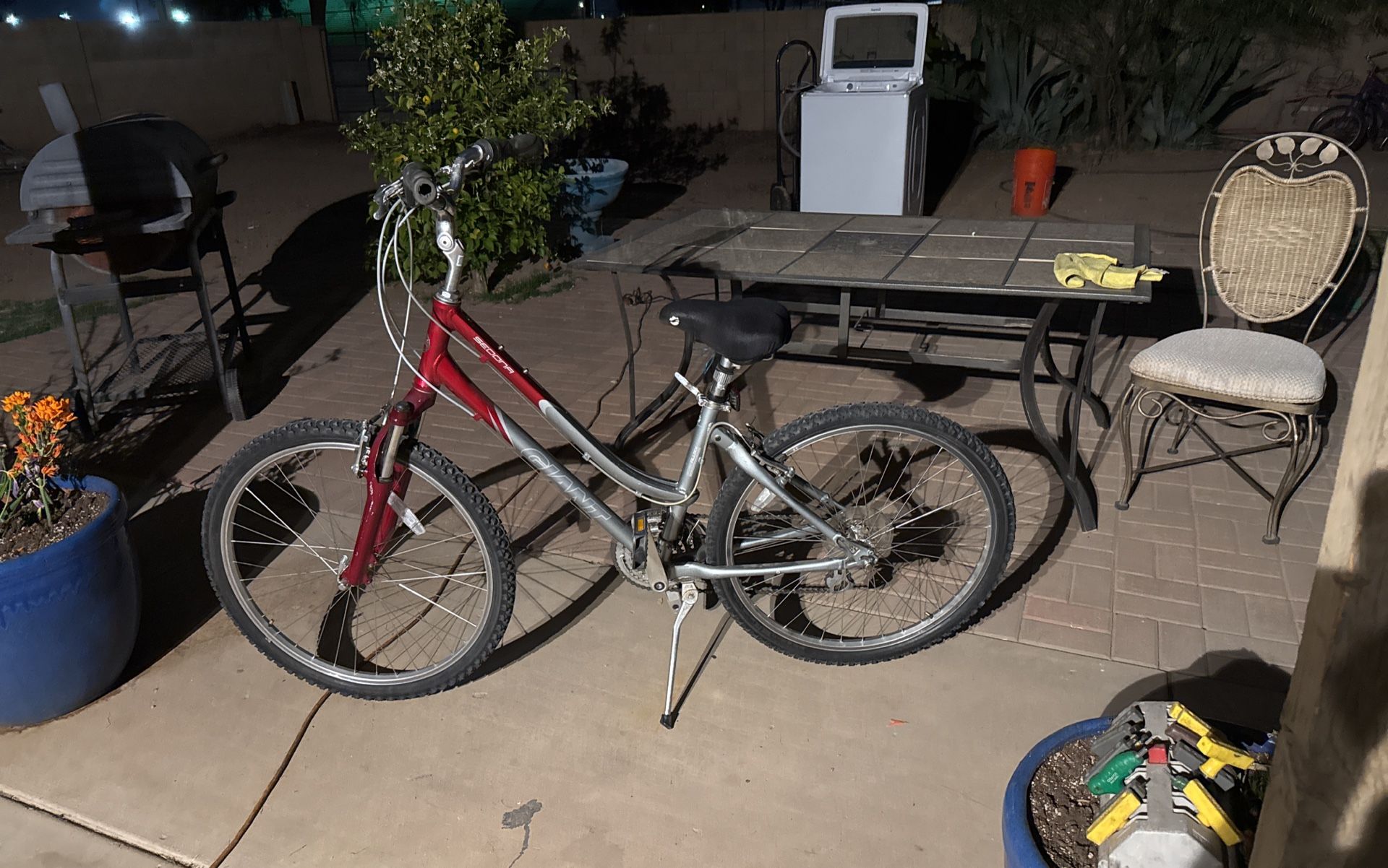 Giant 12 Speed Bike
