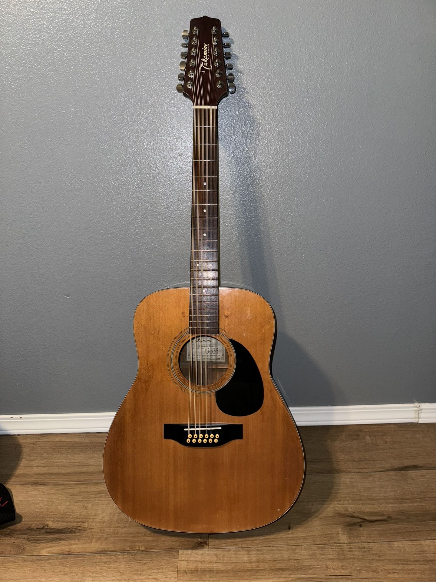 Takemine G Series 12 String Guitar