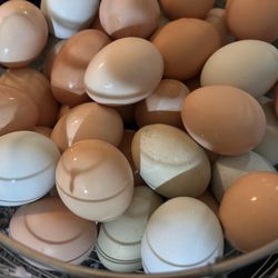 eggs