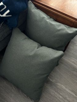 Two Gray Couch Pillows