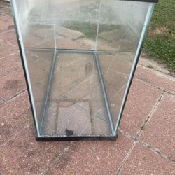 20 Gallon Fish Tank 