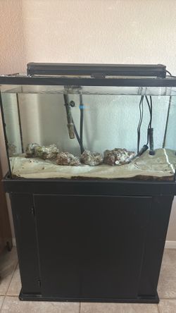 30 gallon saltwater fish tank