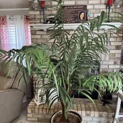 ✨✨BEAUTIFUL TALL ARTIFICIAL TREE