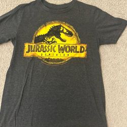 3 kids tshirts - size L,14 & XL (14/16)