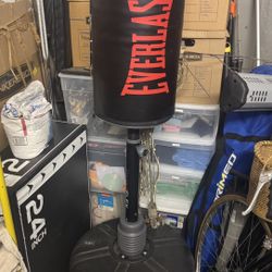 Everlast Punching Bag 