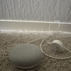 Google Nest Speaker