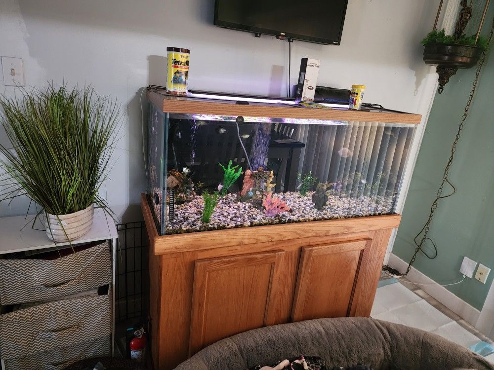 80 Gallon Fishtank With Stand And Accessories