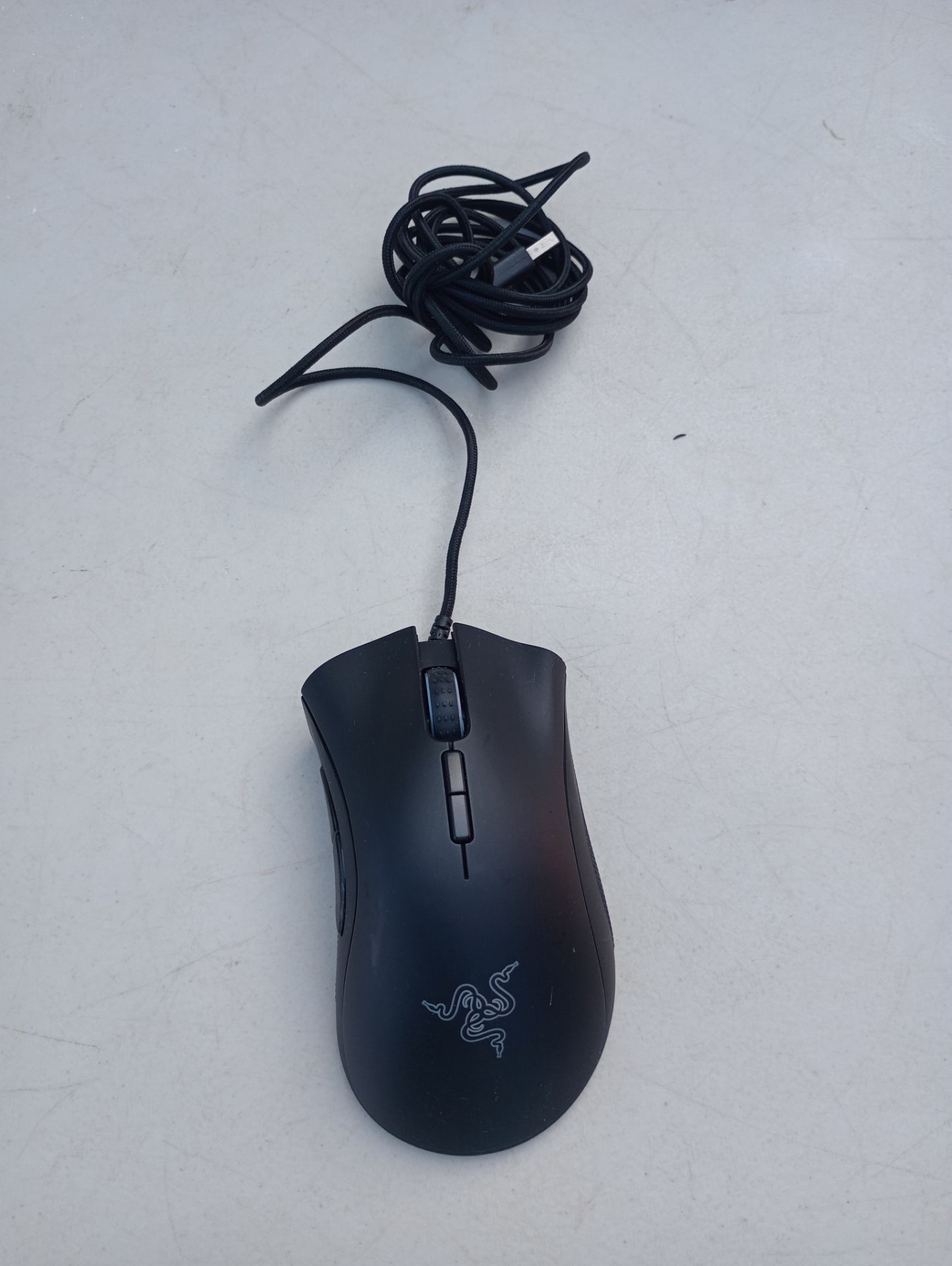 Image #1