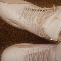 Ovo Jordan 12s