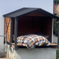 Dog House 