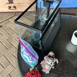 Fish Tank With Filter, Rocks And Decorations
