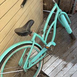 Adult Bike