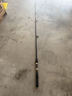 Shakespeare alpha graphite 71.5” medium