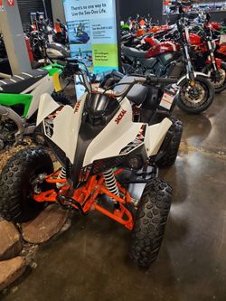 2021 Kayo Jackal 200