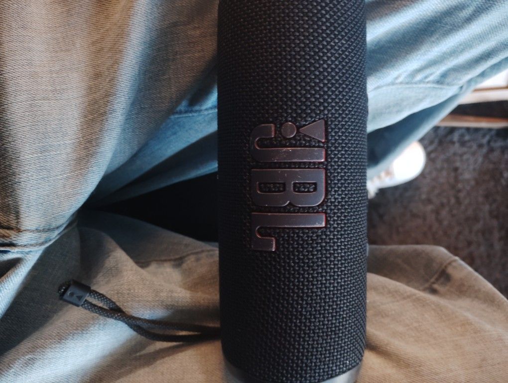 2 JBL Portable Speakers