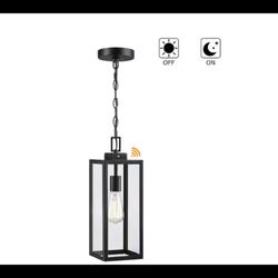 Hukoro Alfa 17" 1-Light Matte Black Outdoor Dusk to Dawn Lantern Pendant Light