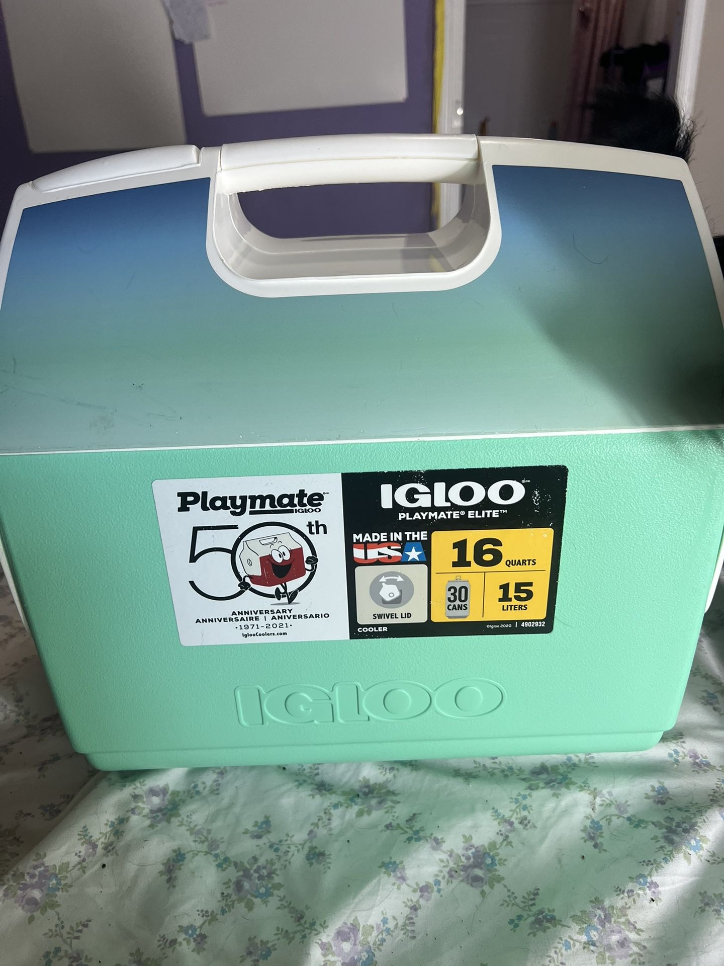 Igloo Cooler