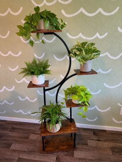 60” S-Shaped Indoor Plant Stand, Multi-Tier Metal Shelf with Wood Platforms