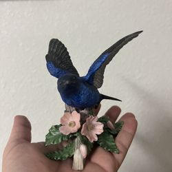 Lennox Purple Martin
