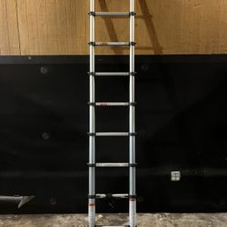 Telescopic Ladder