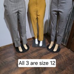 Women's Working Pants 4.00 Each 