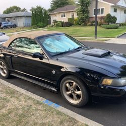 2004 Ford Mustang