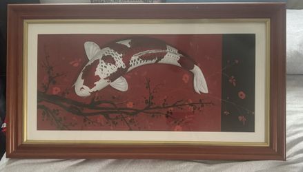 Koi Photo