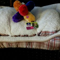 Pet bed and pet toy