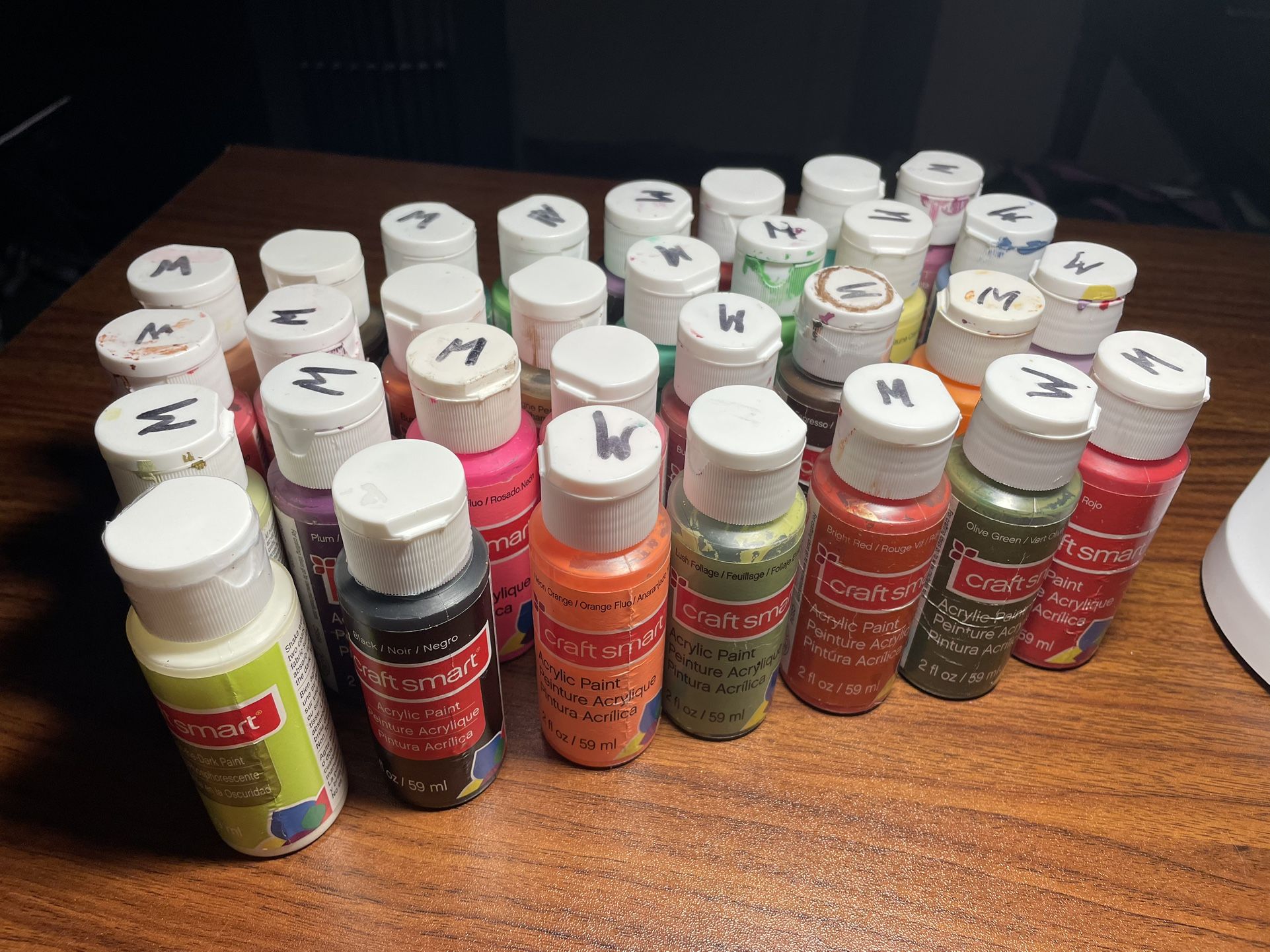 35 Acrylic and metallic paints by Craft smart and Folk Art
