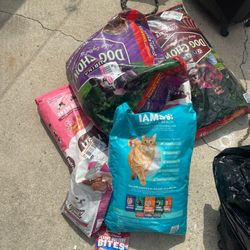 Dog & cat food free