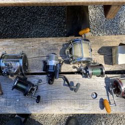 Reels Freshwater And Salt