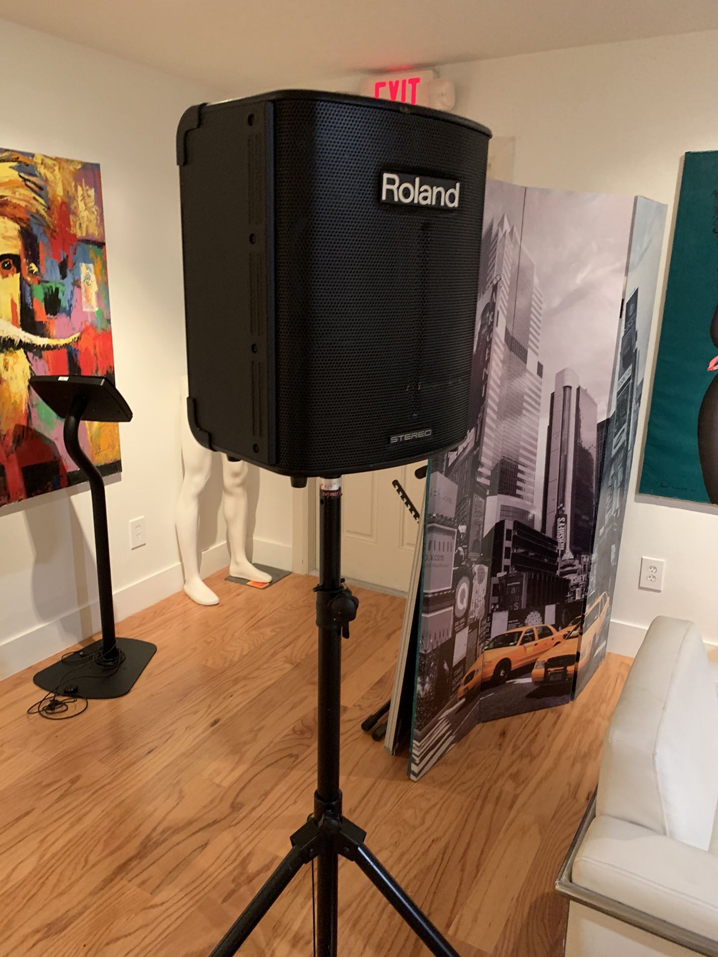 Roland Portable Amplifier speaker, Live Sound Battery Optional   BA-330