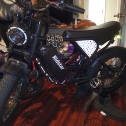 Heavy Duty Ridstar E-bike With Fatboy Tires