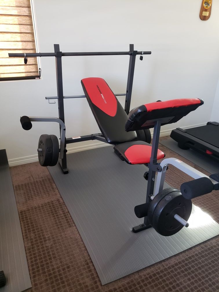 Weider pro 256 bench hotsell