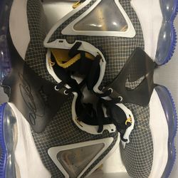 LeBron 19 Size 12