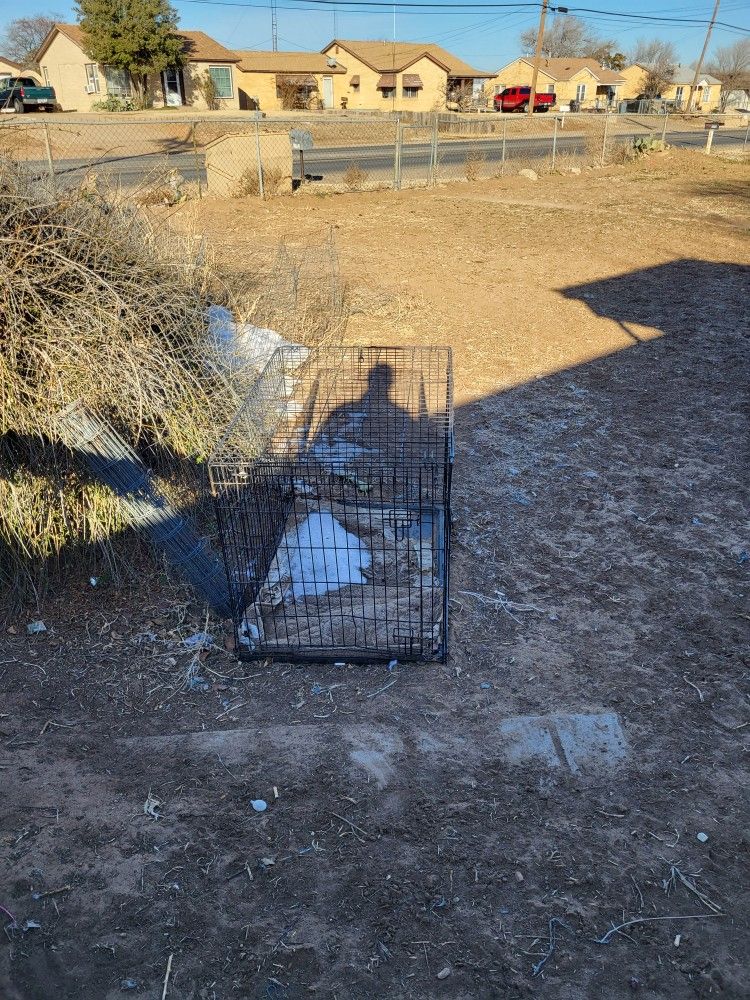 Dog Cage