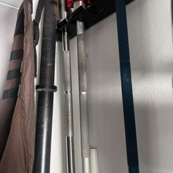Rogue Bumper Plates Girl And Guy Barbell Trap Bar 