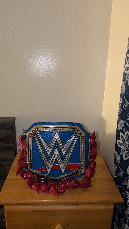Bootleg WWE Universal Championship 