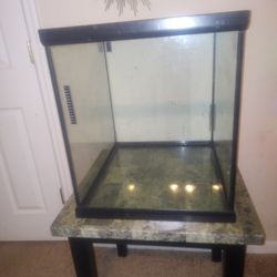 35 Gallon Tank