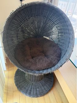 Wicker Pet bed frame with cushion
