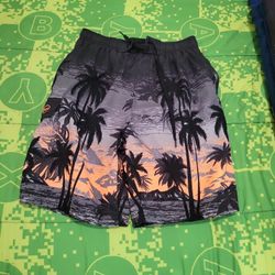 Water Shorts 