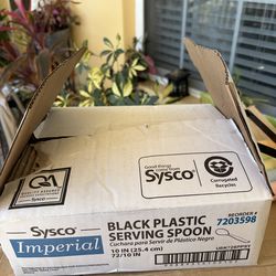 Box of black serving spoon