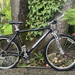 Research Dynamics Coyote Pro 4.5 Mountain Bike