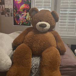 Huge Teddy Bear