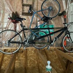 Cannondale Tandem Bicycle Los Dos