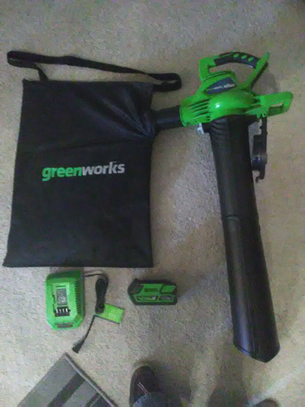 Green works leaf blower / collector unit