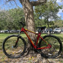 Specialized Rockhopper 29 Mountain Bike 